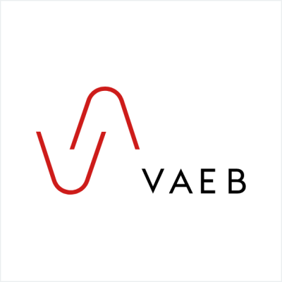 logo vaeb